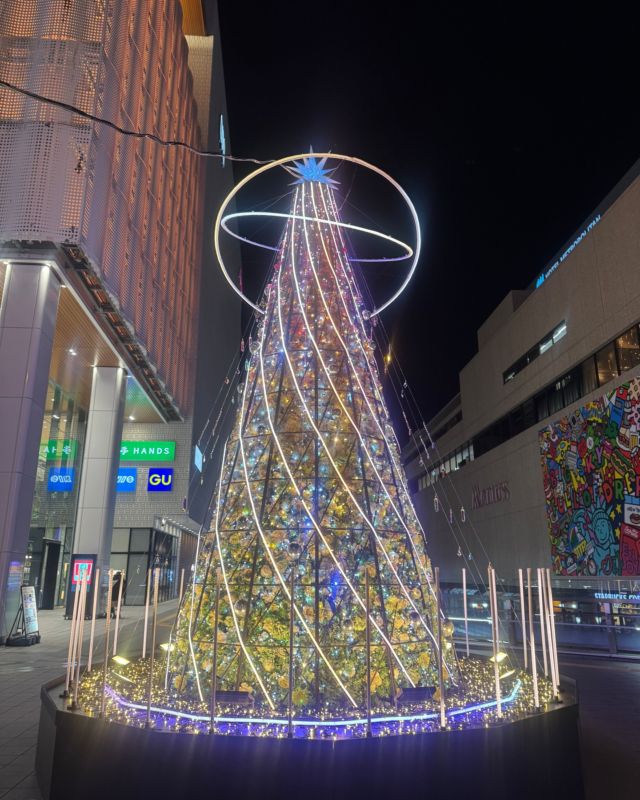 🎄✨ 高崎駅は今、クリスマス一色。
今年もイルミネーションとツリーが本当に鮮やかで、ただ歩くだけでも気持ちが上がります。
デートにも最高の季節です。

ブライダルPunonoは、高崎駅から徒歩5分。
（ガストのはす向かいです）

この時期の高崎は本当に魅力的。
ぜひぜひ、遊びに来てください。✨